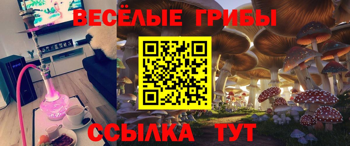 Псилоцибиновые грибы Magic Shrooms Ирбит