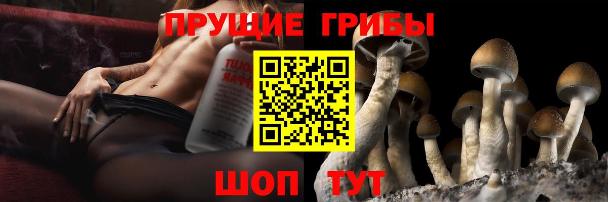 Ирбит  Псилоцибиновые грибы ЛСД  Вход с VPN  Галлюциногенные грибы прущие грибы 